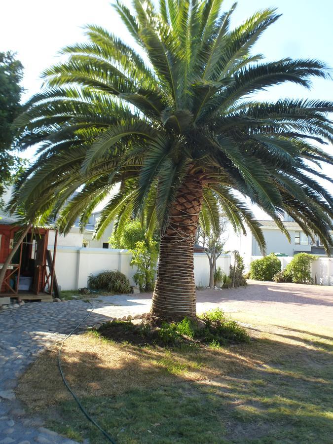 Cape Town Milnerton Lagoon Villa Exteriér fotografie